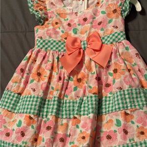 Bonnie Baby Pink and Coral Floral Dress with Green Gingham Accents